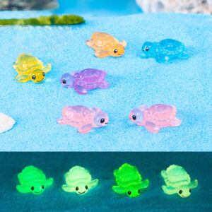 AA07-Turtles lucky bag