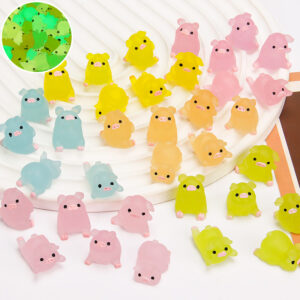 AA11-Pig lucky bag